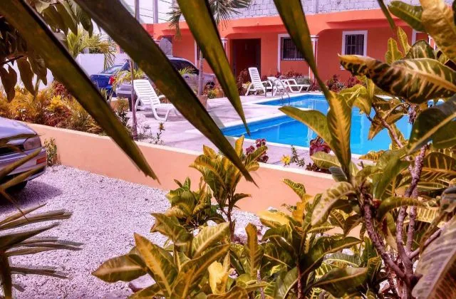 Aparthotel Next Nivel Punta Cana pool